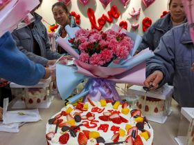 米兰平台-米兰（中国）一站式服务平台
举办三八妇女节活动